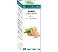 Equisalud Organic Essential Oil Ginger 10 ml 10 ml