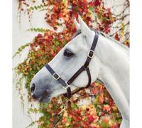 Equisential Leather Headcollar - Foal - Black