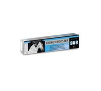 Equistro Energy Booster for Horses 20g Syringe