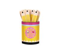 Equity Sticks for Classroom 121 Piece Educational Learning Tag with Storage