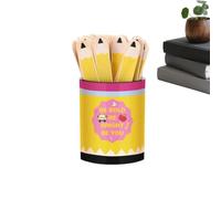 Equity Sticks for Classroom 121 Piece Educational Learning Tag with Storage
