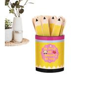 Equity Sticks for Classroom 121 Piece Educational Learning Tag with Storage