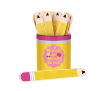 Equity Sticks for Classroom 121 Piece Educational Tag with Storage Cup