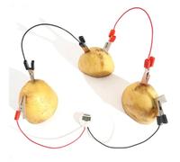 equlup Fruit Battery Science Kit, Potato Battery Student Educational Toy Fruit Electricity Experiment Clock Bulb DIY Kit for School Teaching