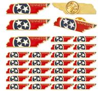 Equsion 25 Pcs USA State Lapel Pins Bulk Texas California Florida Tennessee South Carolina Patriotic Traveler Souvenir Gifts, 1.38 x 0.47 Inches, Zinc