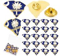 Equsion 25 Pcs USA State Lapel Pins Bulk Texas California Florida Tennessee South Carolina Patriotic Traveler Souvenir Gifts, 1.3 x 1.18 Inches, Zinc, no gemstone