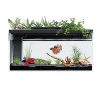ERAARK 3.7 Gallon Betta Fish Tank self Cleaning,Smart Aquarium Aquarium kit, Small Fish Tank with Filter Light Water Pump, Fish Tank Starter Kits Fish Bowl
