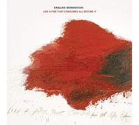 Eraldo Bernocchi;Harold Budd;R - Like A Fire That Consumes All Before It