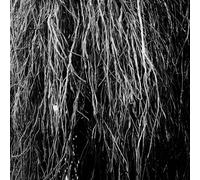 Bernocchi, Eraldo - Nocturnal Rainforest [VINYL]