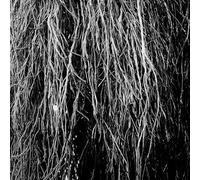 Eraldo Bernocchi - Nocturnal Rainforest [VINYL]