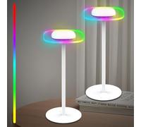 ERAY Cordless Rechargeable Table Lamp, RGB Ambient Night Light with Memory Function, Small Restaurant Bar Desk Lamp Dimmable Bedside Touch Lamp for Bedroom Dinning Party Home Decor, 2 Pack