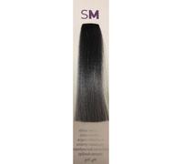 Erayba Gamma Metallic Permanent Hair Color Cream 100ml - Silver Erayba Silver 100ml