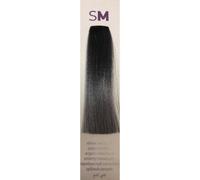 Erayba Gamma Metallic Permanent Hair Color Cream 100Ml - Silver Silver 100ml