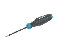 Erbauer Standard Security Tx Screwdriver T10 X 75mm