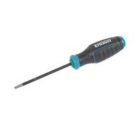 Erbauer Standard Security Tx Screwdriver Tx20 X 100mm