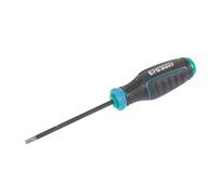 Erbauer Standard Security Tx Screwdriver Tx25 X 100mm