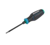 Erbauer Standard Security Tx Screwdriver Tx30 X 100mm