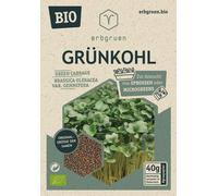 erbgruen Organic Kale Seeds for Microgreens/Sprouts - 40 grams
