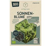 erbgruen Organic Seeds for Microgreens/Sprouts - Sunflower - 1 Pkg