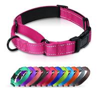 Erbine Neoprene Padded Martingale Collar for Dogs, Reflective Soft Nylon with Quick Release Buckle, Adjustable Dog Martingale Collars for Training & Daily Use (Hotpink,S)