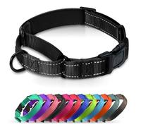 Erbine Padded Martingale Collar for Dogs | Neoprene Martingale Dog Collars | Reflective Nylon Martingale Collar | Adjustable Dog Martingale for Small Medium and Large Dogs