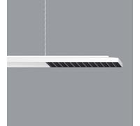 ERCO Jilly P up/down oval wide white/black 830