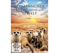 Erdmännchen-Babies entdecken die Welt