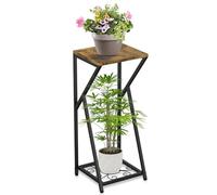 Eremaoy Tall Plant Stand Indoor Corner Metal Plant Shelf for Multiple Plants, 2 Tier Modern Wood Plant Support Flower Pot Holder Display Rack for Home Living Room Outdoor Balcony Garden Patio