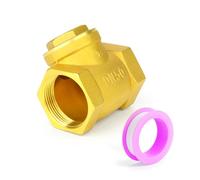 ERGAOBOY 1Pcs Brass Swing Check Valve, 2" BSP Female Non Return Valve, Plumbing Fitting to Prevent The Medium Backflow for Oil Water Gas Air