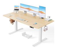 ErGear Electric Standing Desk-160 x 80 cm-100kg Load Capacity Height Adjustable Desk with Advanced Brushless Motor, Quiet Operation, Sturdy Metal