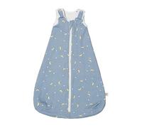 Ergobaby Classic Sleep Bag, Baby Sleeping Bag with Seatbelt Slot, 1.0 TOG, for Newborn (0-6 Months), Stellar
