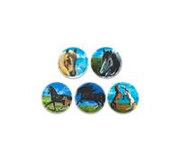 ergobag Velcro Set 5 Pieces Velcro, Horses - Colourful, standard size, Casual