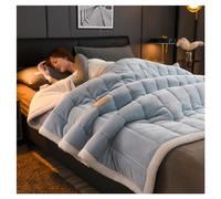 Ergocar Fleece Blanket, Fuzzy Soft Sherpa Flannel Weighted Blanket Throw, Reversible Soft Fluffy Thick Throw Blankets, Warm Home Decoration Blanket, For Couch, Bed, Sofa