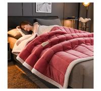 Ergocar Fleece Blanket, Fuzzy Soft Sherpa Flannel Weighted Blanket Throw, Reversible Soft Fluffy Thick Throw Blankets, Warm Home Decoration Blanket, For Couch, Bed, Sofa