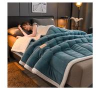 Ergocar Fleece Blanket, Fuzzy Soft Sherpa Flannel Weighted Blanket Throw, Reversible Soft Fluffy Thick Throw Blankets, Warm Home Decoration Blanket, For Couch, Bed, Sofa