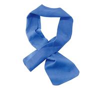 Ergodyne Chill- Its Cooling Towel 10cm X 75cm Blue 10X75cm