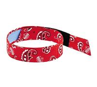 Ergodyne Chill Its 6705CT Cooling Bandana, Lined with Evaporative PVA Material for Fast Cooling Relief, Quick and Secure Fit