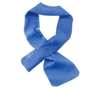 Ergodyne Chill-Its Cooling Towel Blue 10x75cm EY6603