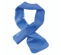 Ergodyne Chill-Its Cooling Towel Blue 10x75cm EY6603