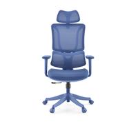Ergomy Colore | Fabric / 3D Mesh | Frame: Colourful - Home Office Chair Blue