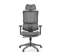 Ergomy Colore | Fabric / 3D Mesh | Frame: Colourful - Home Office Chair Grey