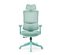 Ergomy Colore | Fabric / 3D Mesh | Frame: Colourful - Home Office Chair Turquoise
