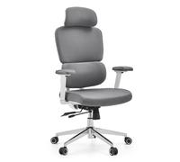 Ergomy WF 2 | Fabric | Frame: White - Professional Office Chair Grey