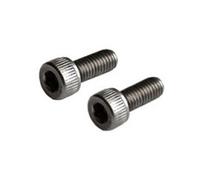Ergon Gp5/gp4/gs3/gx3 Stem Bolts One Size Silver