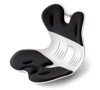 ERGONIX Lumbar Support Posture Corrector Chair for Adults ? Large Ergonomic Back Support Chair for Posture Correction and Lower Back Pain Relief ?