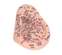 Ergonomic 6.7in Silicone Ear Acupuncture Model with Engraved Points for Home and Laboratory Use