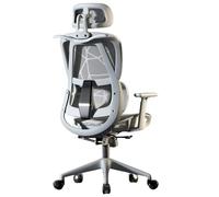 Ergonomic Gaming Office Chair with Adjustable Lumbar Support, Breathable Mesh for Comfortable Executive Desk Seating - Ideal for Study, Work, Living Room & Bedroom