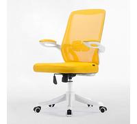 Ergonomic Mesh Swivel Office Chair with Adjustable Backrest, Removable Lumbar Support, and Foldable Armrests - Comfortable Desk Chair for Home and Work