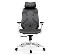 Ergonomic Office Chair Desk Chair, Office Chair High Back Computer Recliner Chair With Breathable Mesh Adjustable Lumbar Support For Study Office Meeting Task Chair(+Grey) Aqiong
