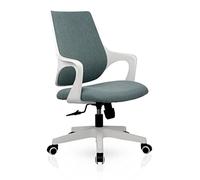 Ergonomic Office Chair Desk Chair, Swivel Recliner Chair With Breathable Mesh High Back Desk Chair Ergonomic Adjustable Arms Lumbar Support Task Chair(A) Aqiong